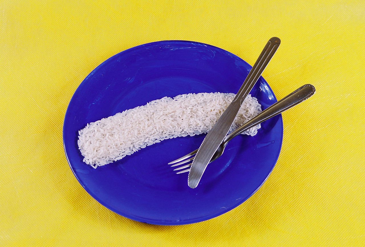 rice plate fork free photo