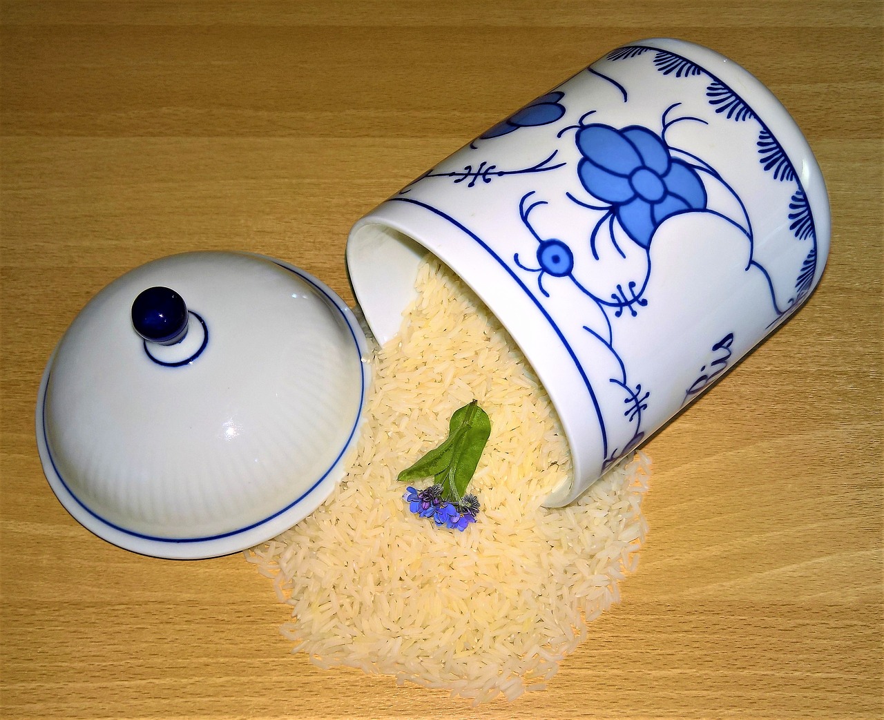 rice jasmine rice rice grains free photo