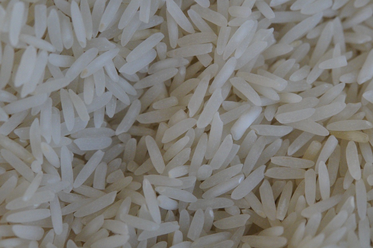 rice rice grains white free photo