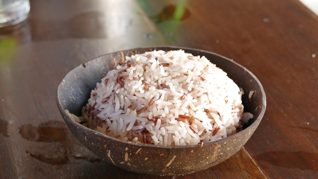 rice coconut eat free photo