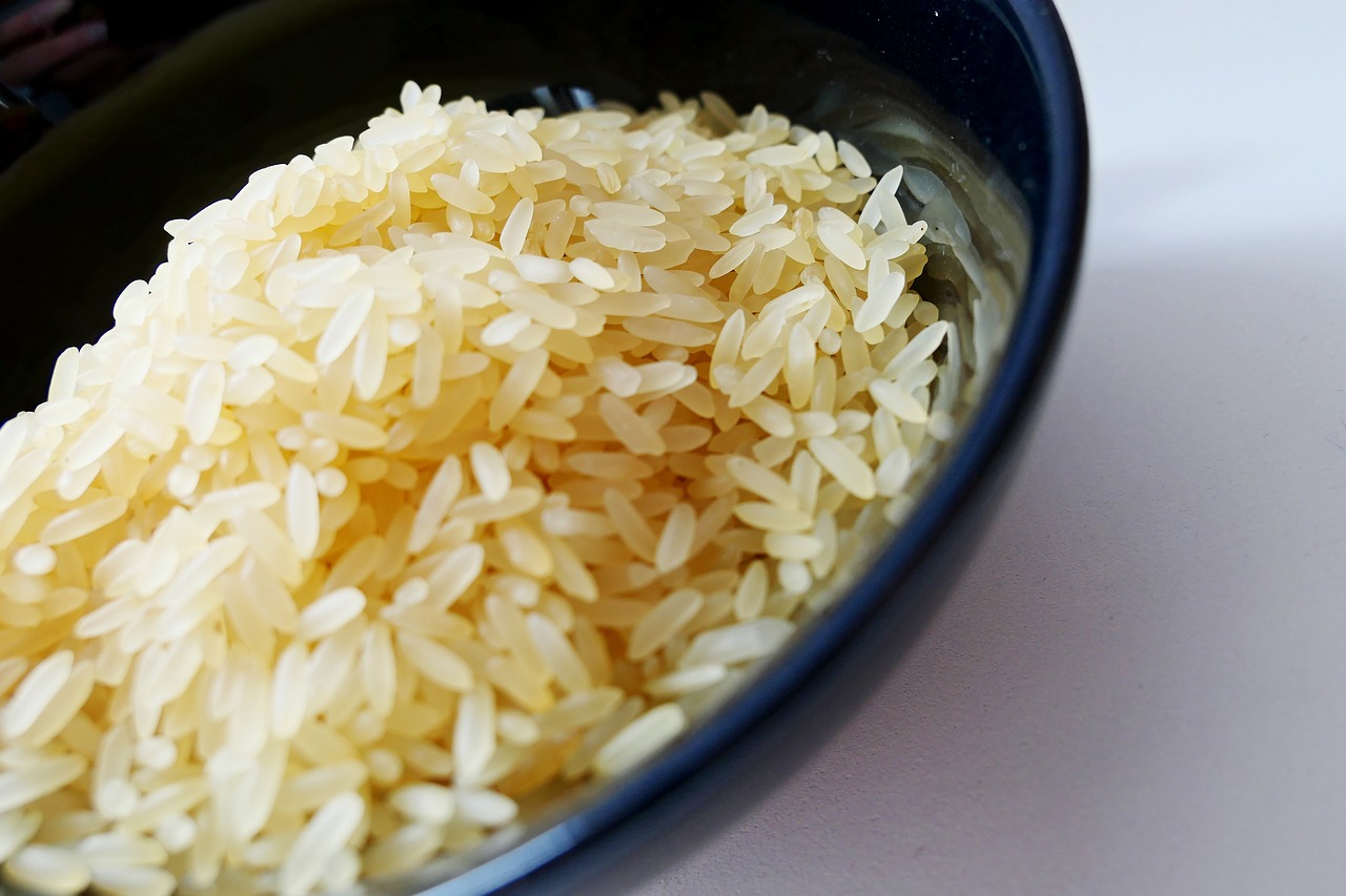 rice rice bowl asia free photo