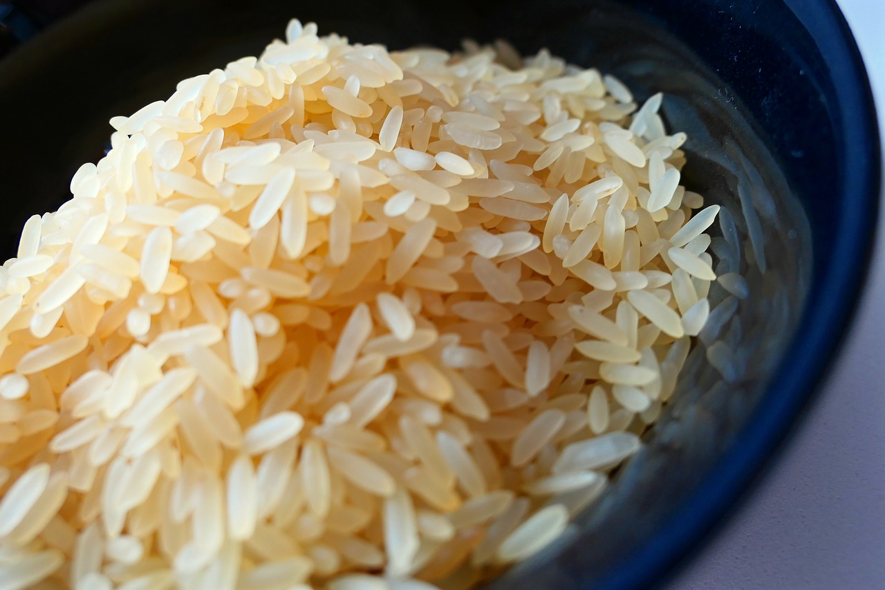 rice rice bowl asia free photo