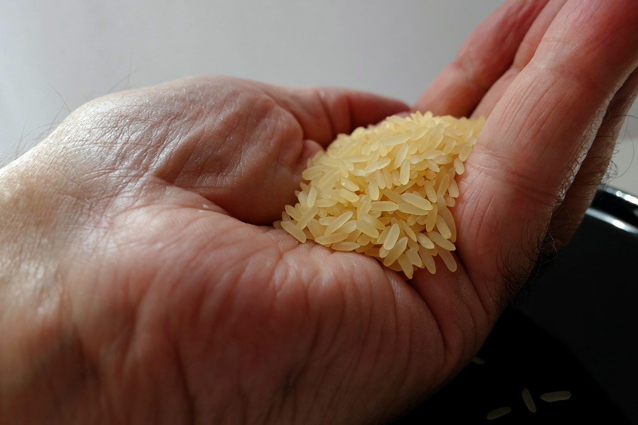 rice handful of rice rice bowl free photo