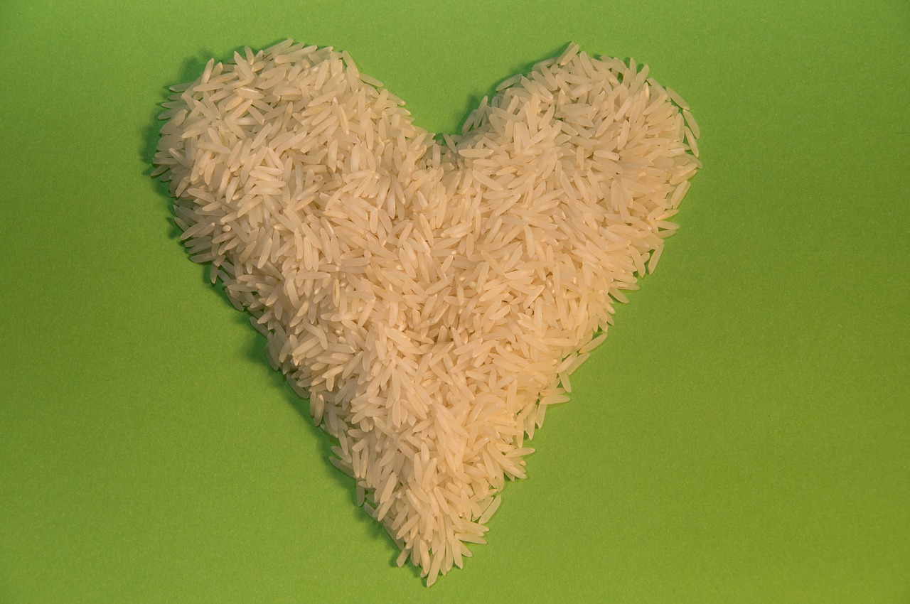 rice food grain free photo
