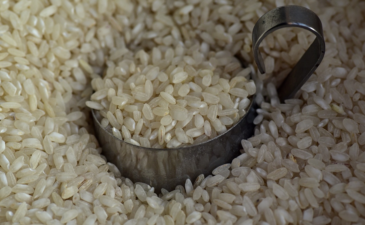 rice  rice grains  food free photo
