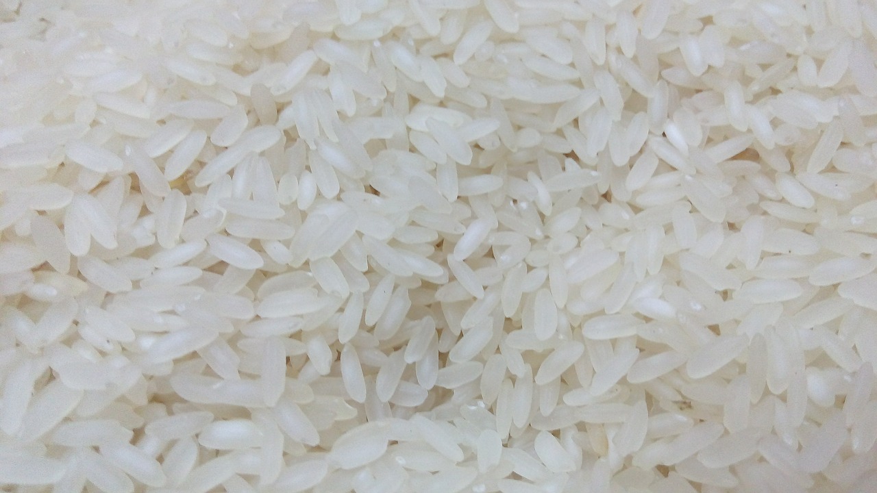 rice food asian free photo