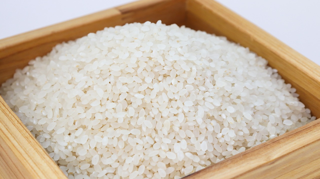 rice  white rice  korea free photo