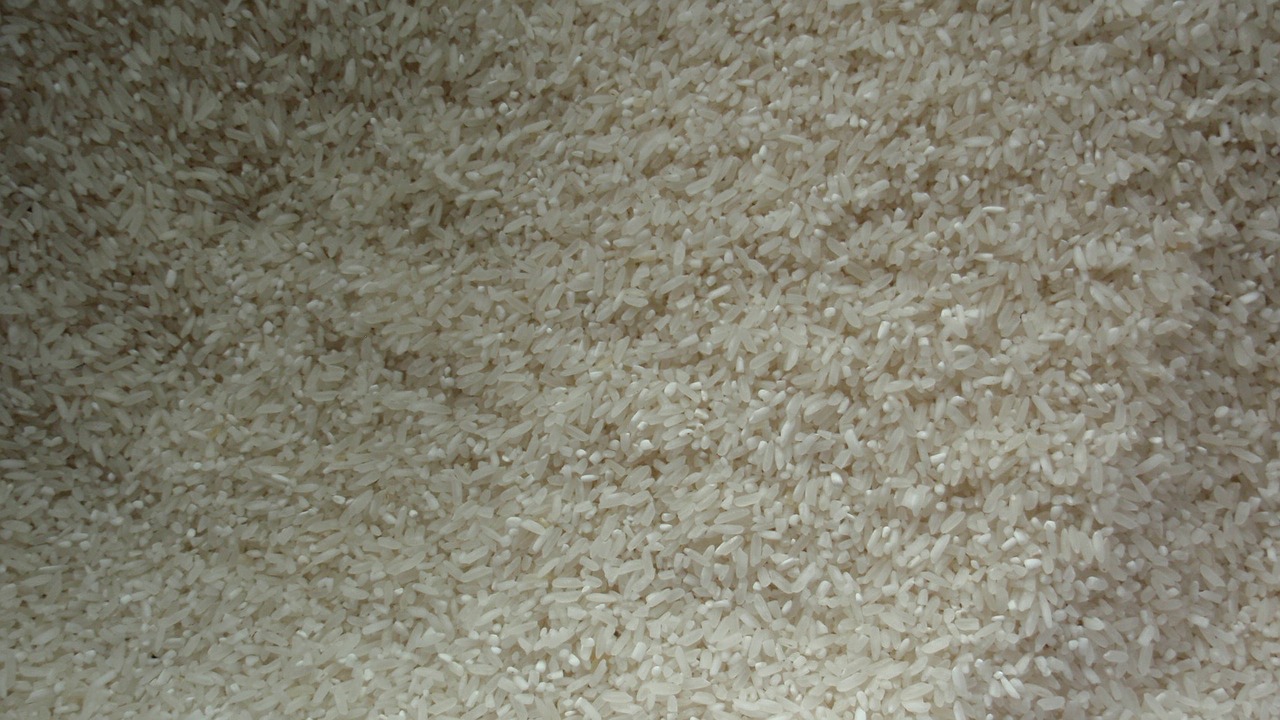 rice white grains free photo