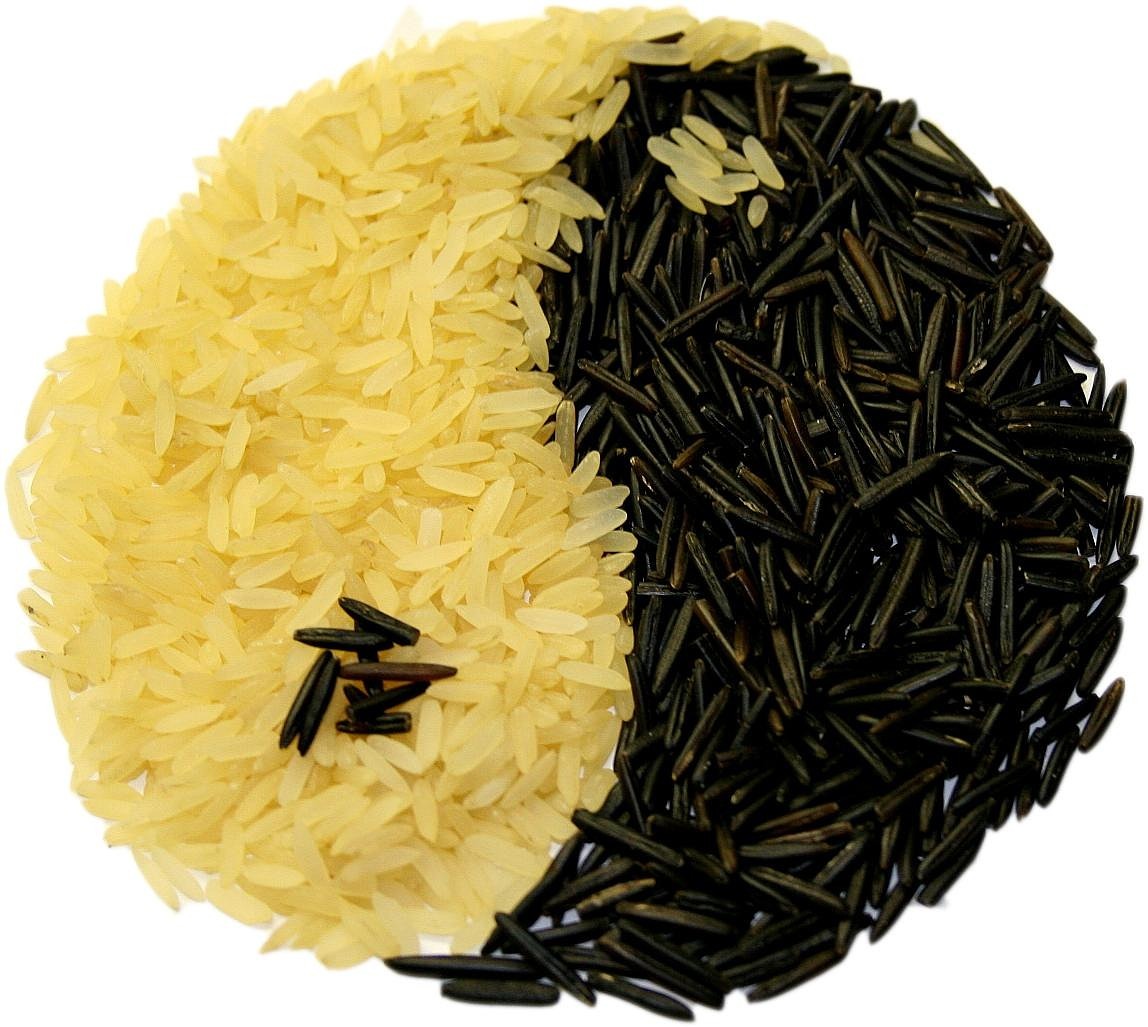 rice yin and yang eat free photo