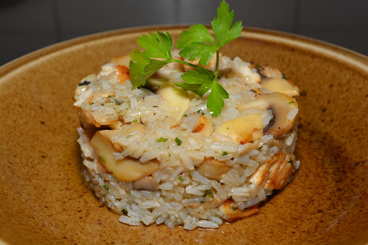 rice chicken breast mushroom free photo