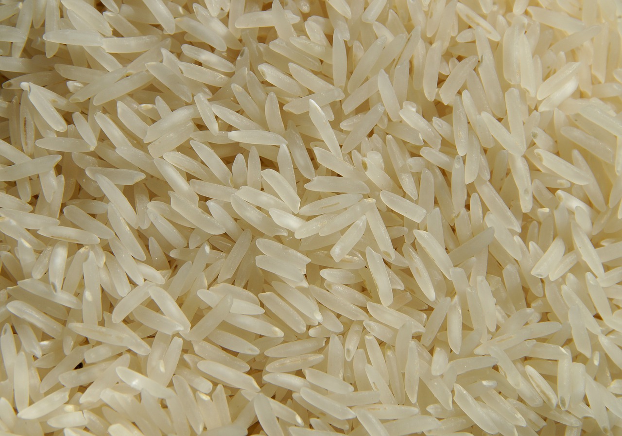 rice food eat free photo