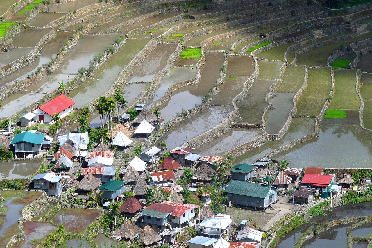 rice field philippines terraces free photo