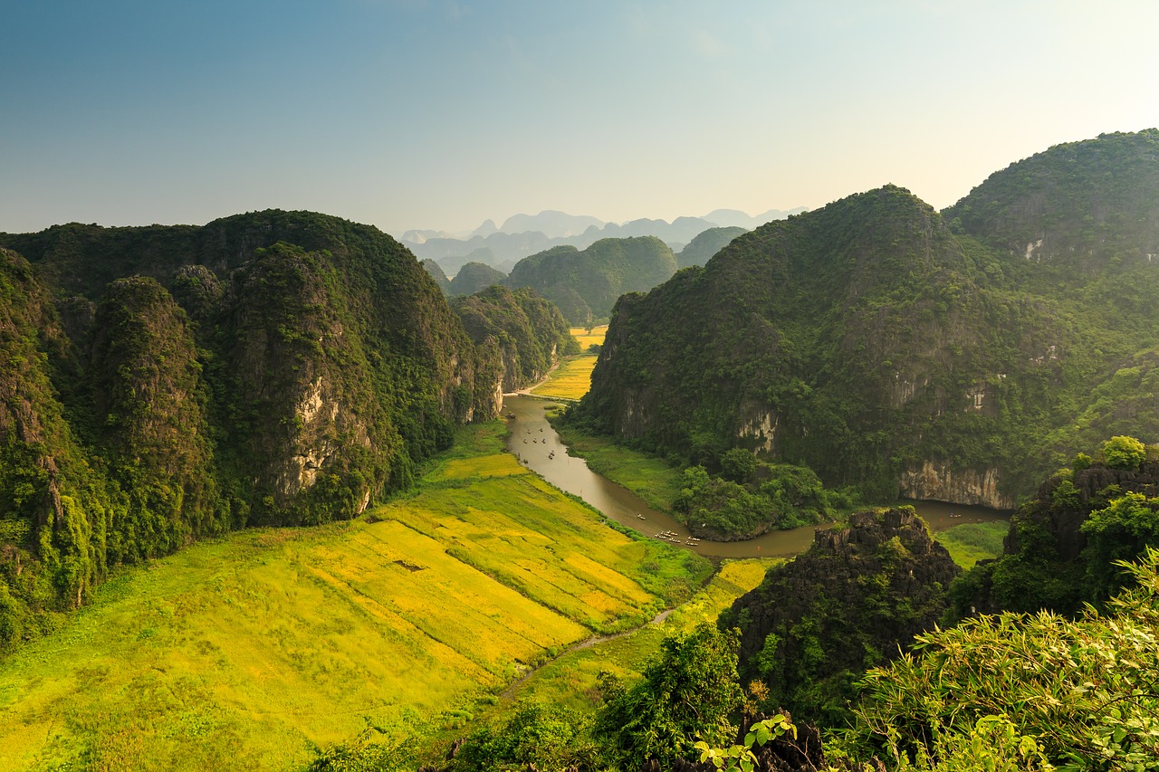 rice field  water  moutains free photo