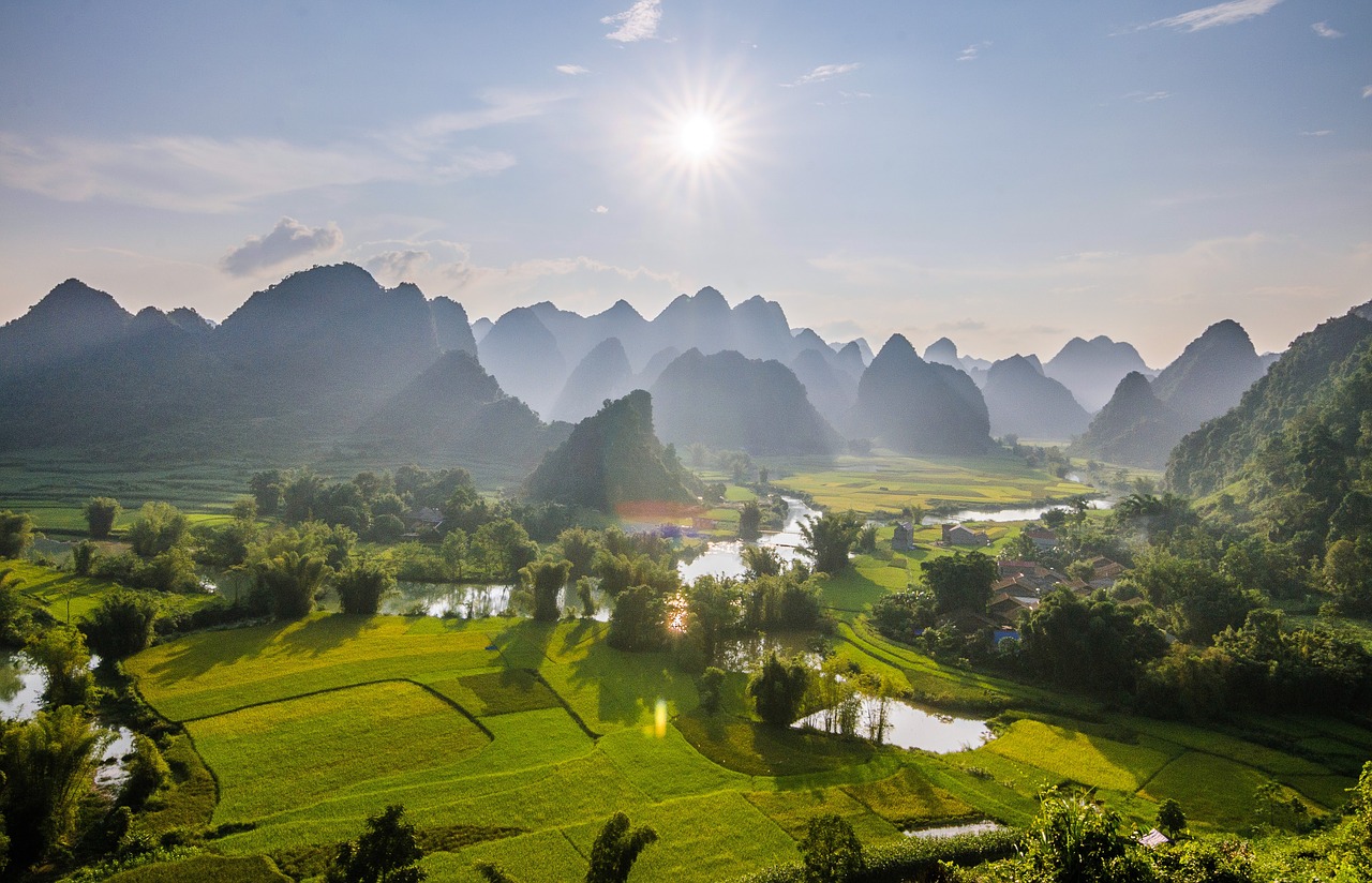 rice fields  sunset  trungkhanh free photo