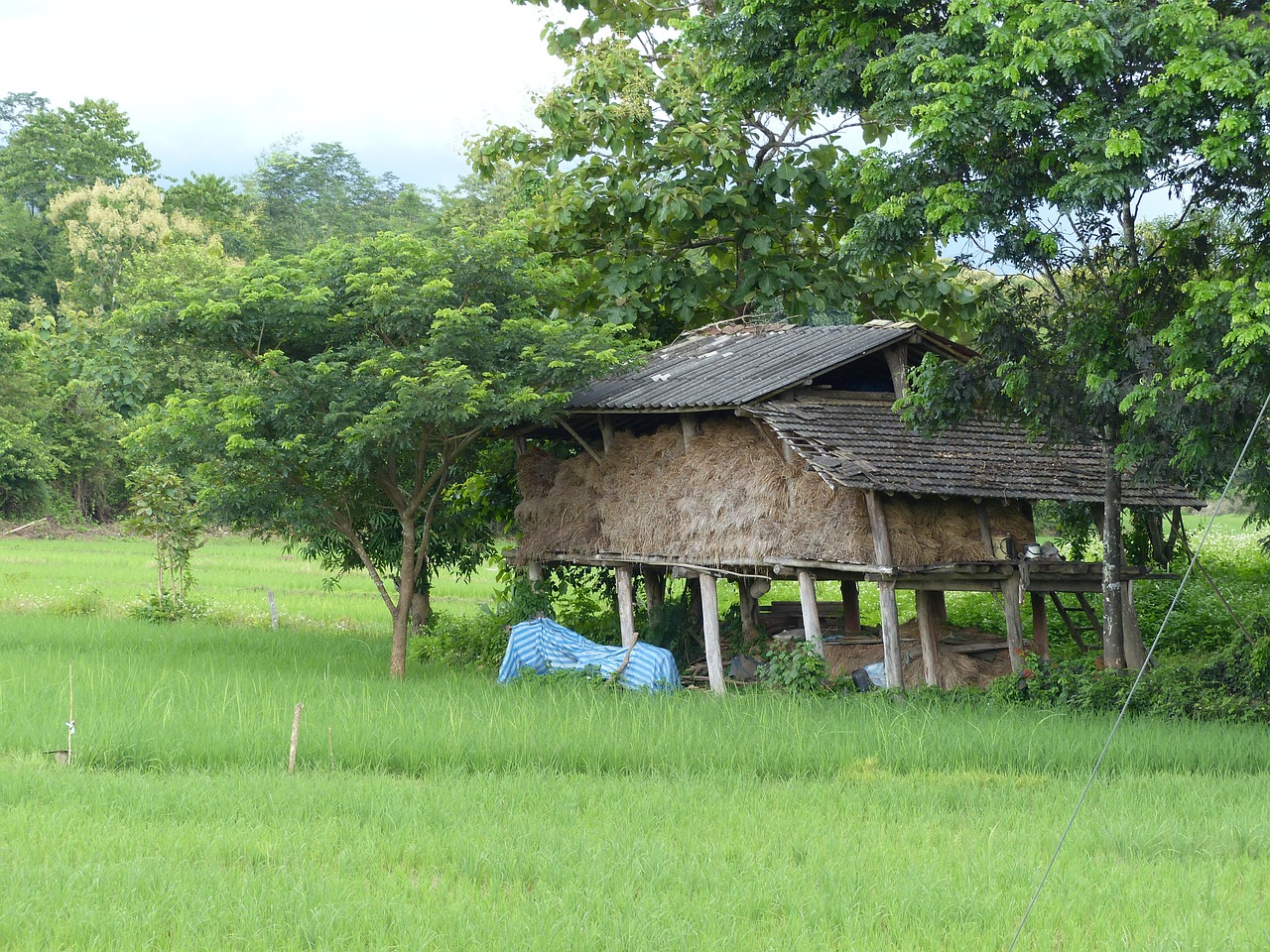 rice granary lampang thailand free photo