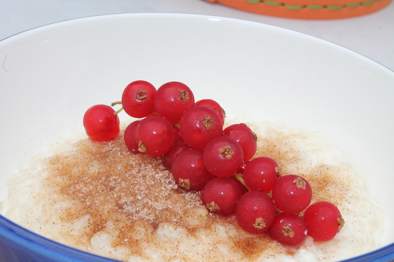 rice pudding dessert sweet free photo