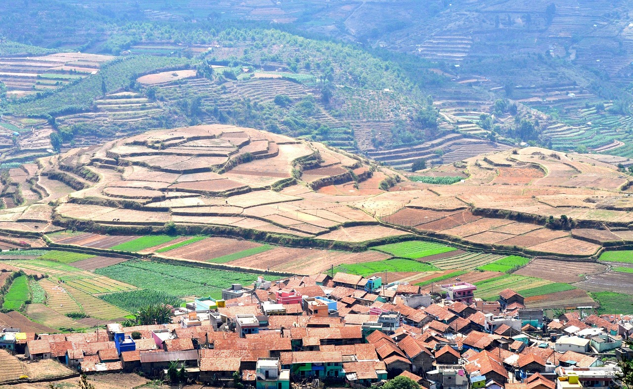 rice terraces terraced cultivation free photo