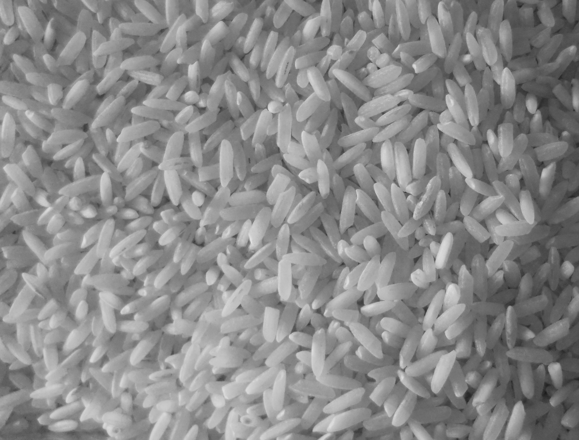 rice texture b&w free photo