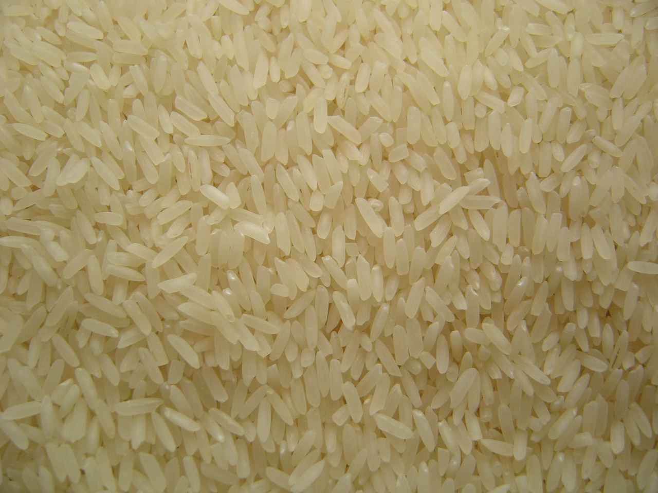 white rice grains free photo