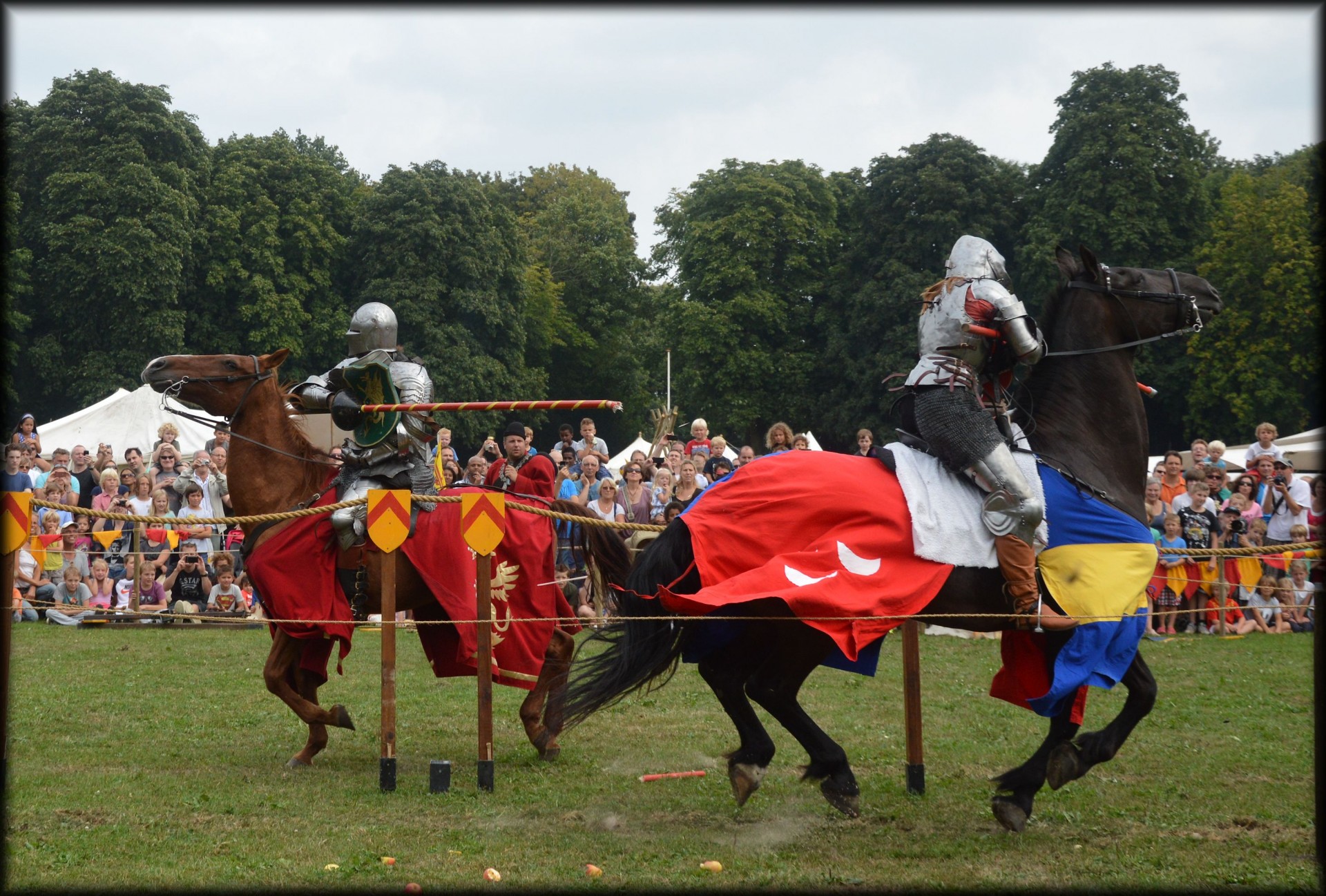 spectacular knight knights horses free photo