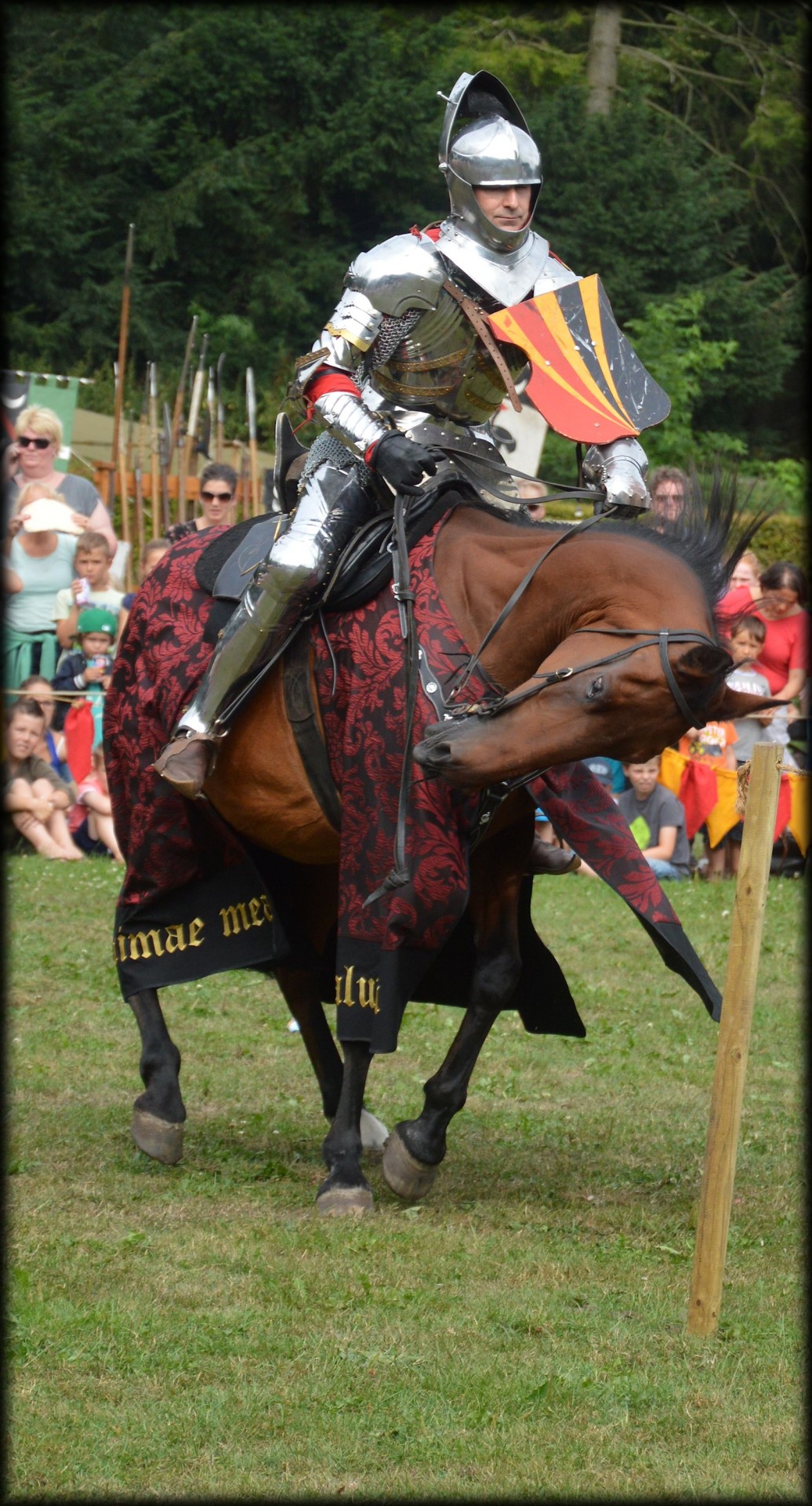 spectacular knight knights horses free photo