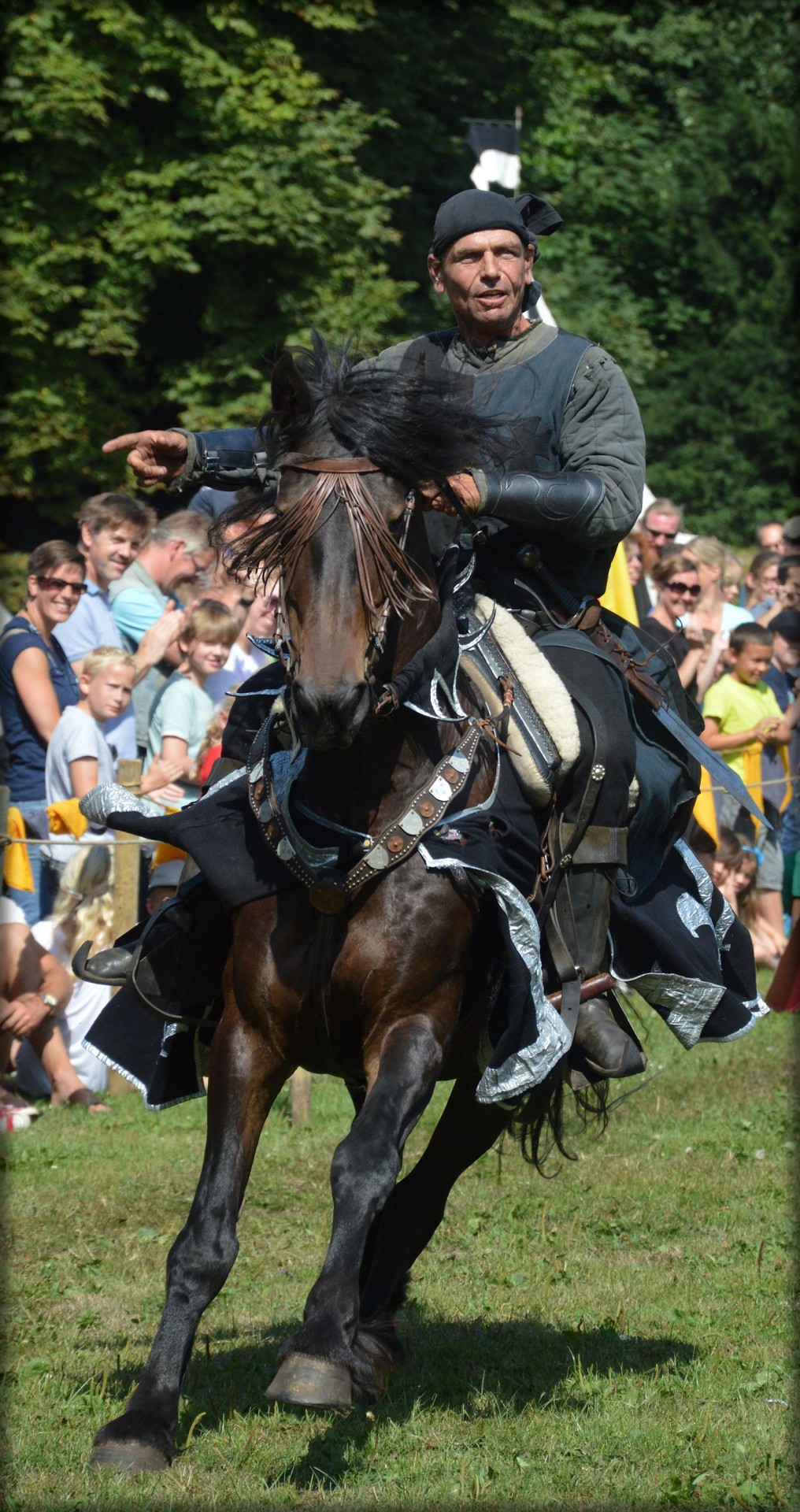 spectacular knight knights horses free photo