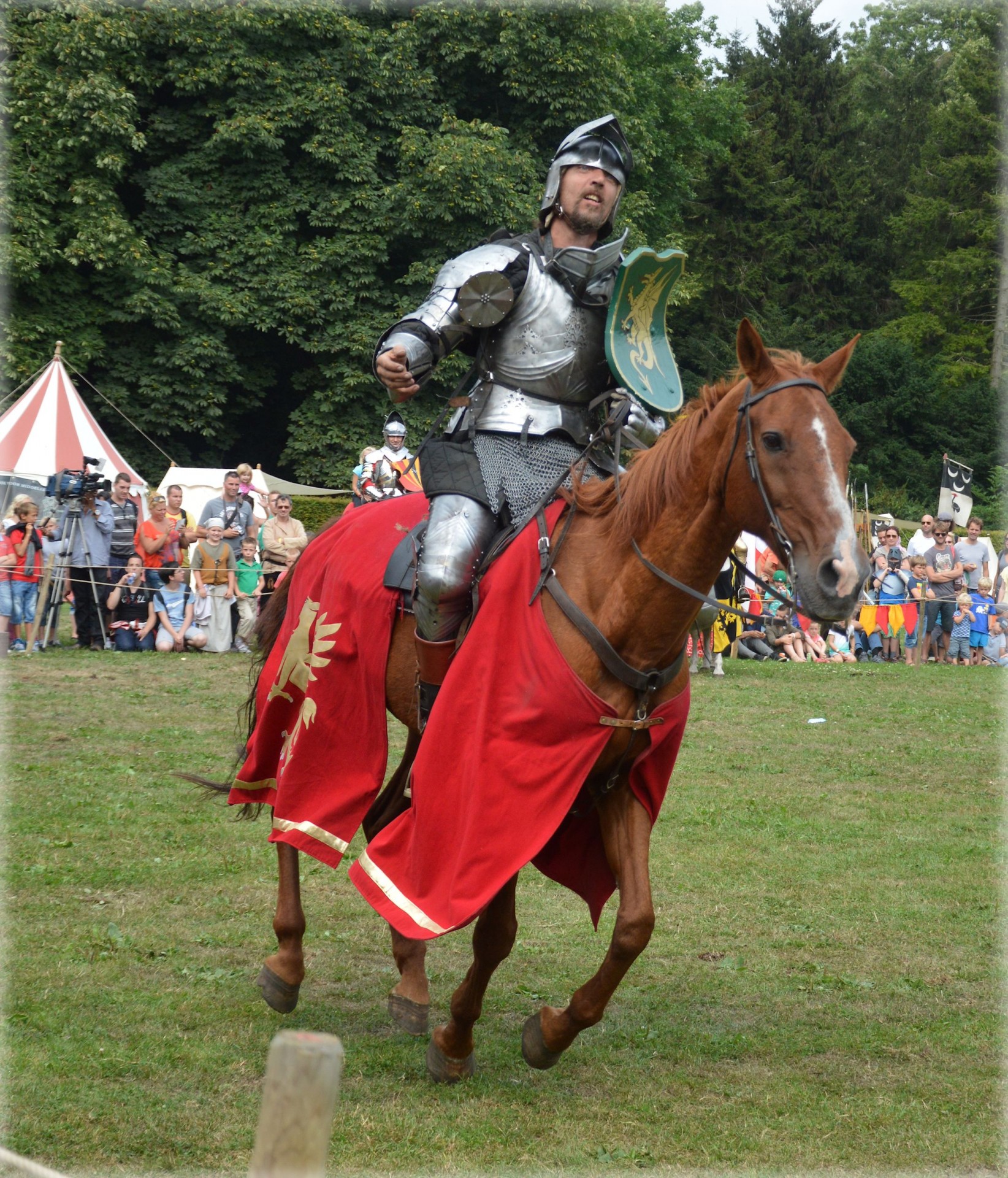 spectacular knight knights horses free photo