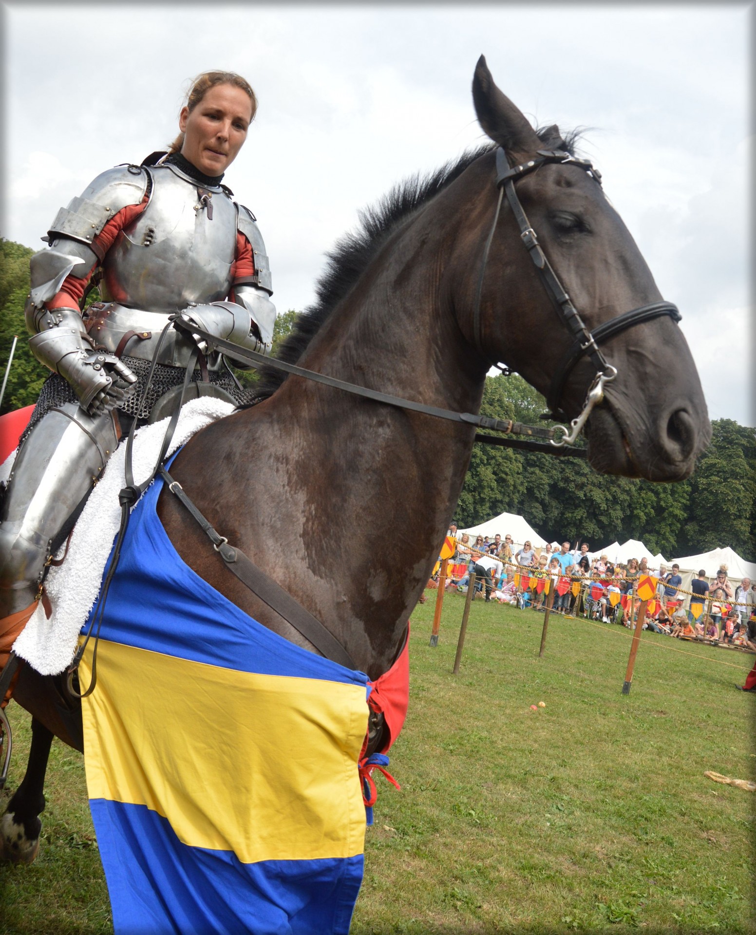 spectacular knight knights horses free photo