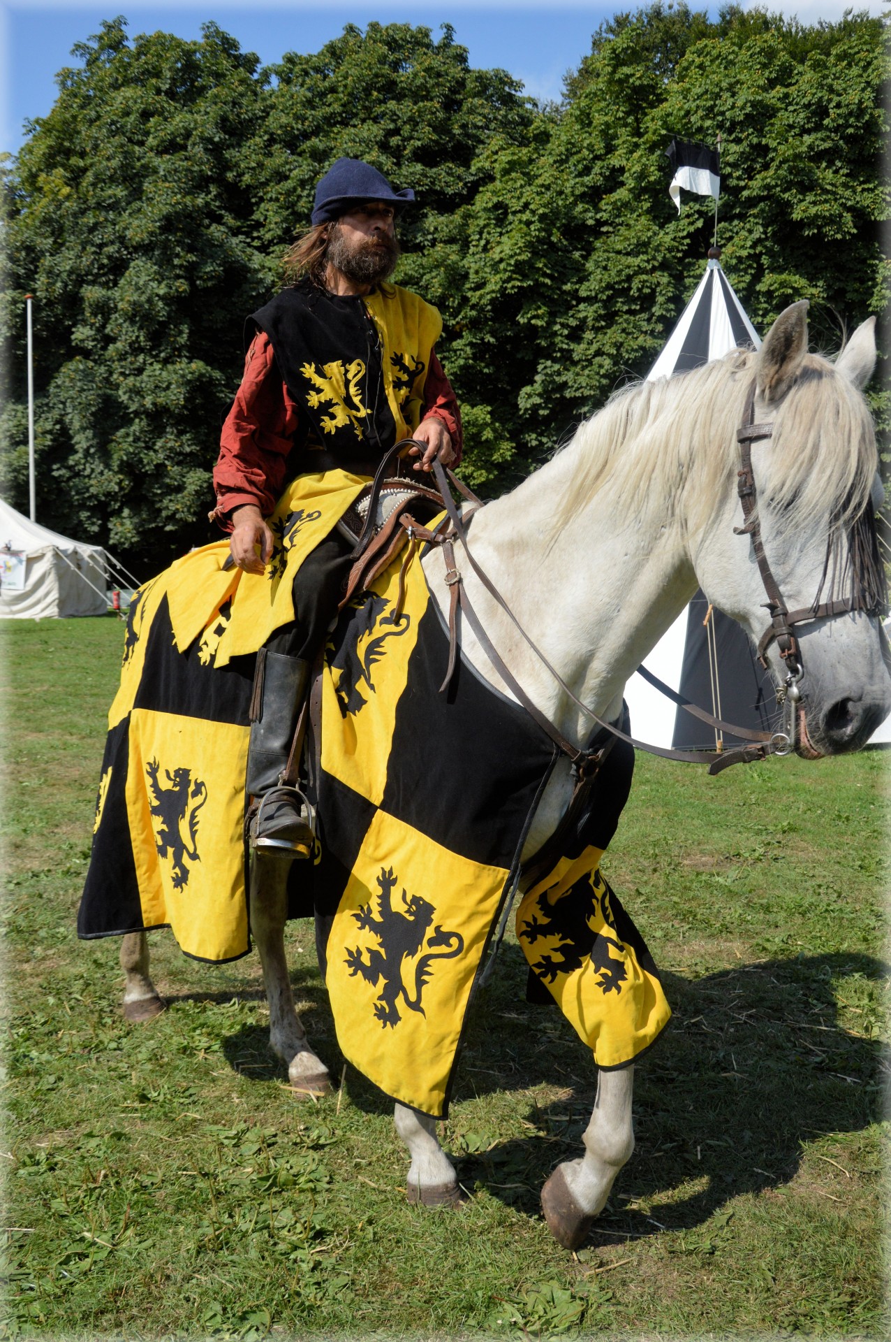 spectacular knight knights horses free photo