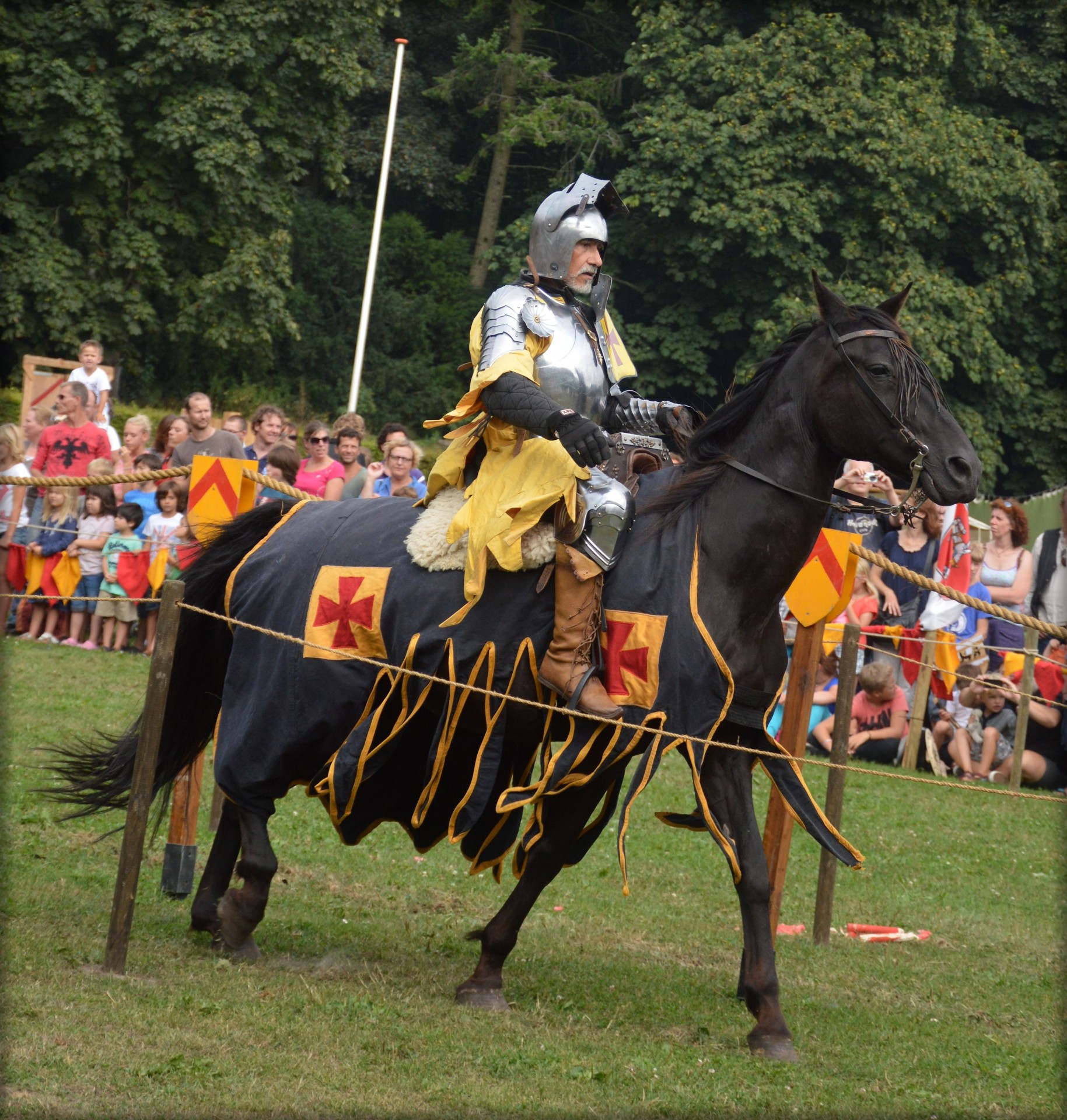 spectacular knight knights horses free photo