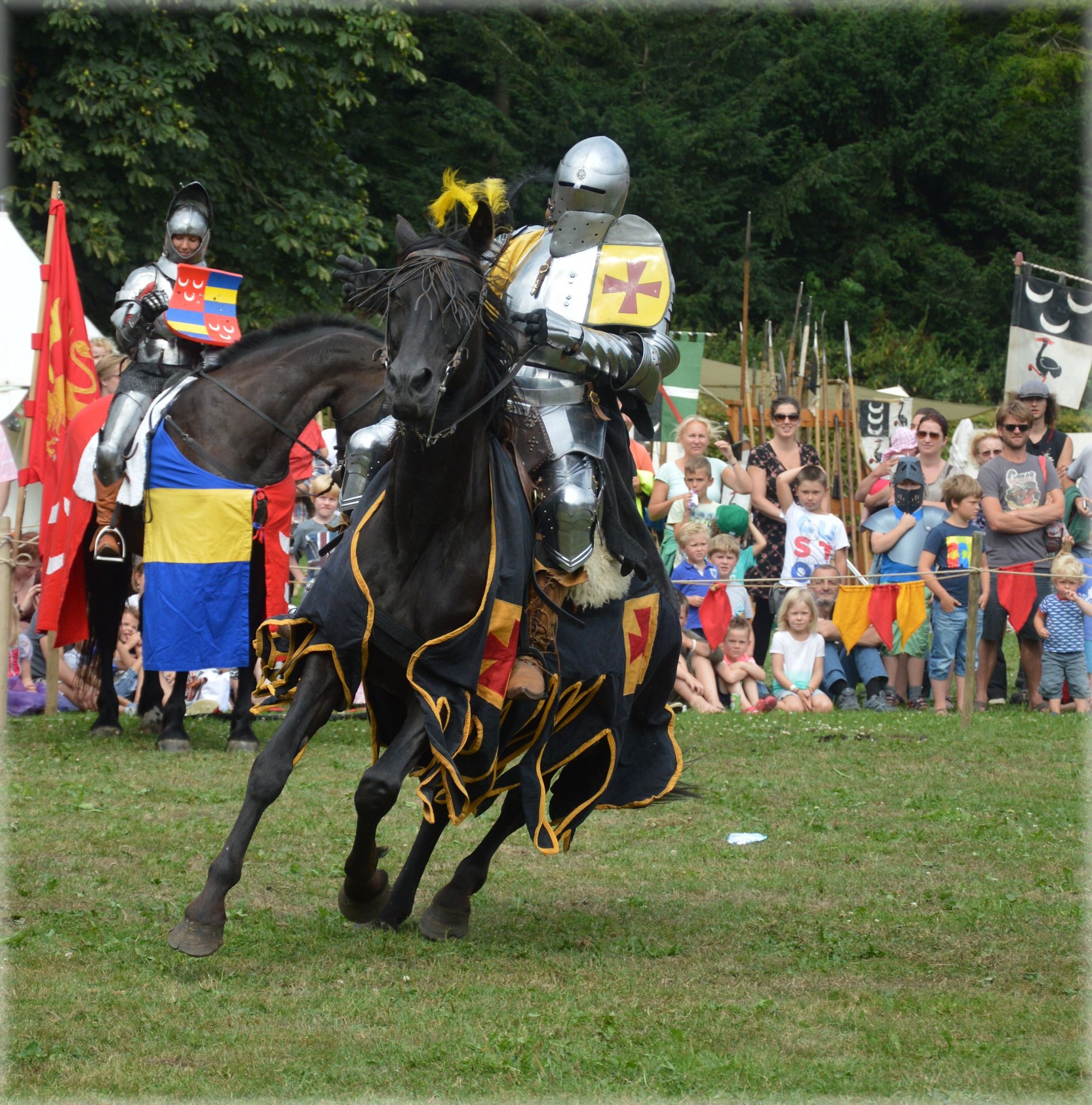 spectacular knight knights horses free photo