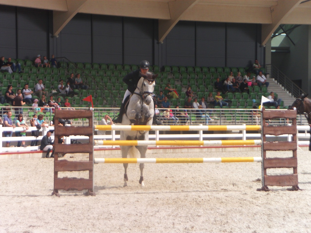 ride riding show jumping free photo