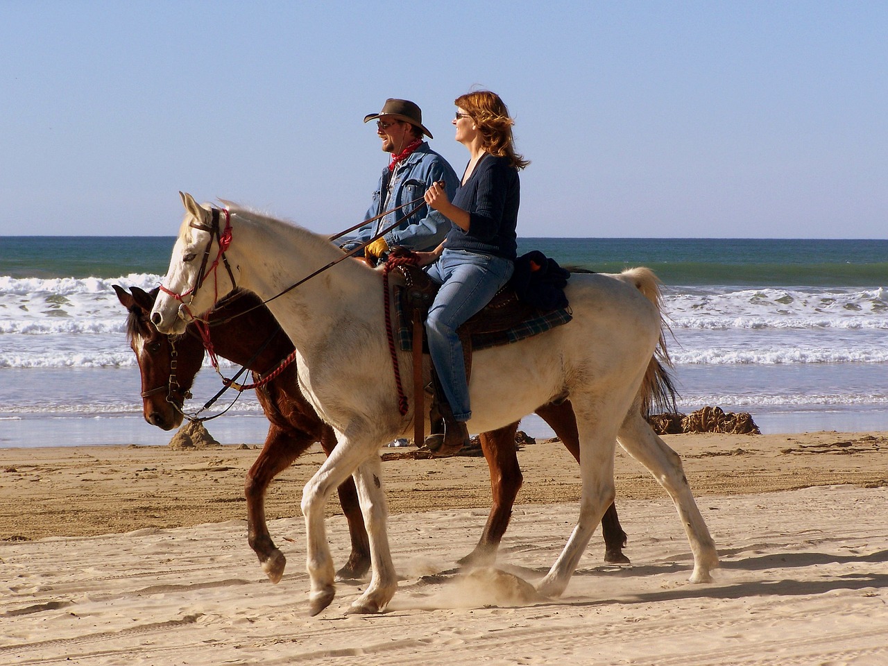 ride horses beach free photo