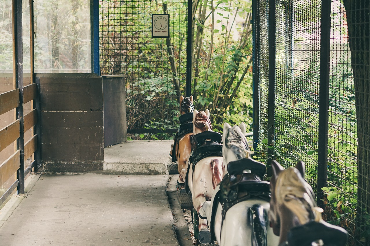 ride old freizeitpark old free photo