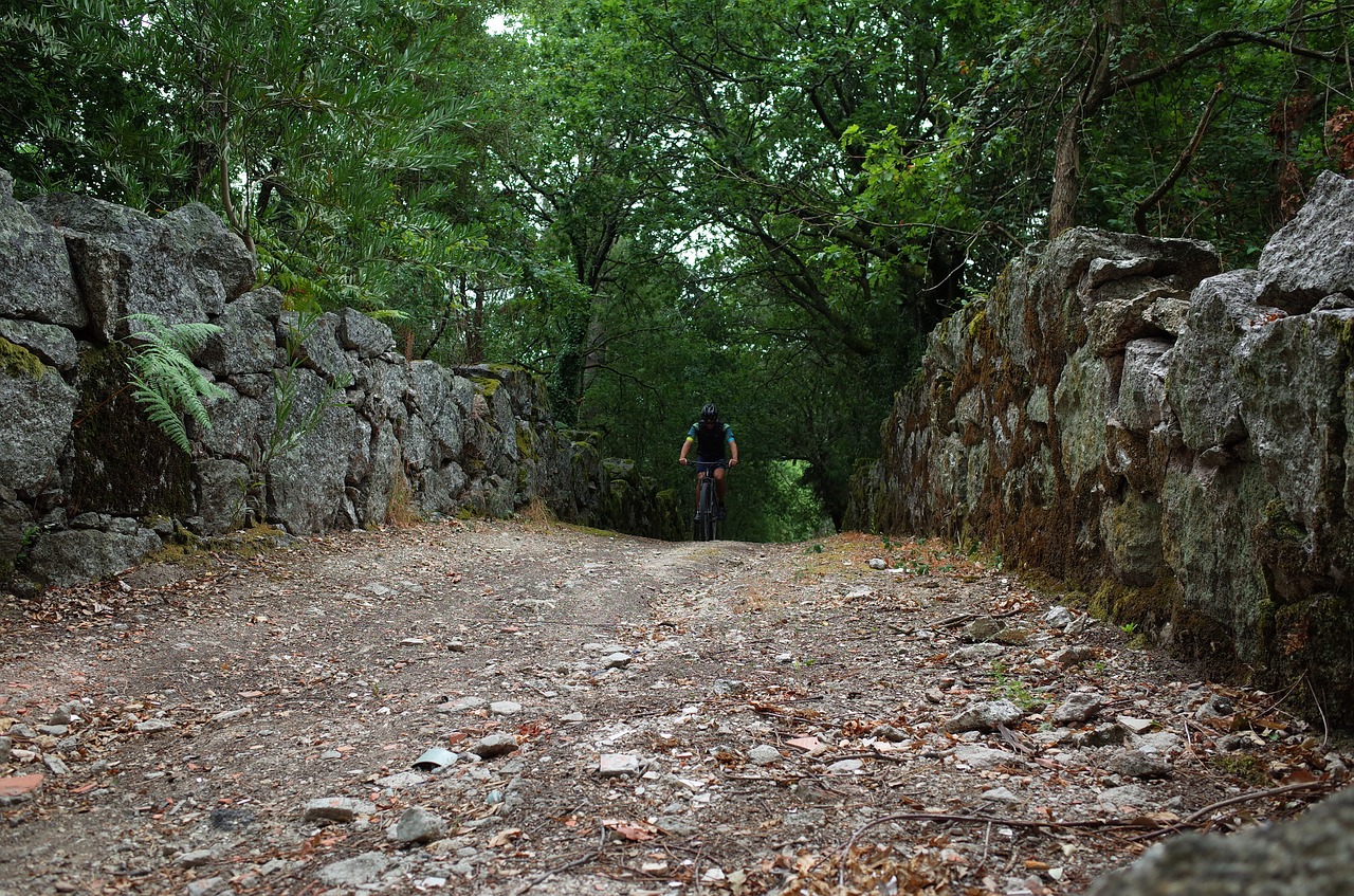 ride  bike  nature free photo