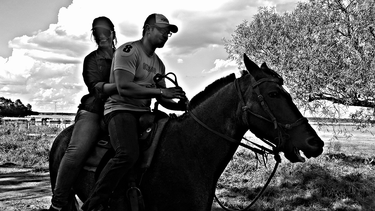 ride landscape horse free photo