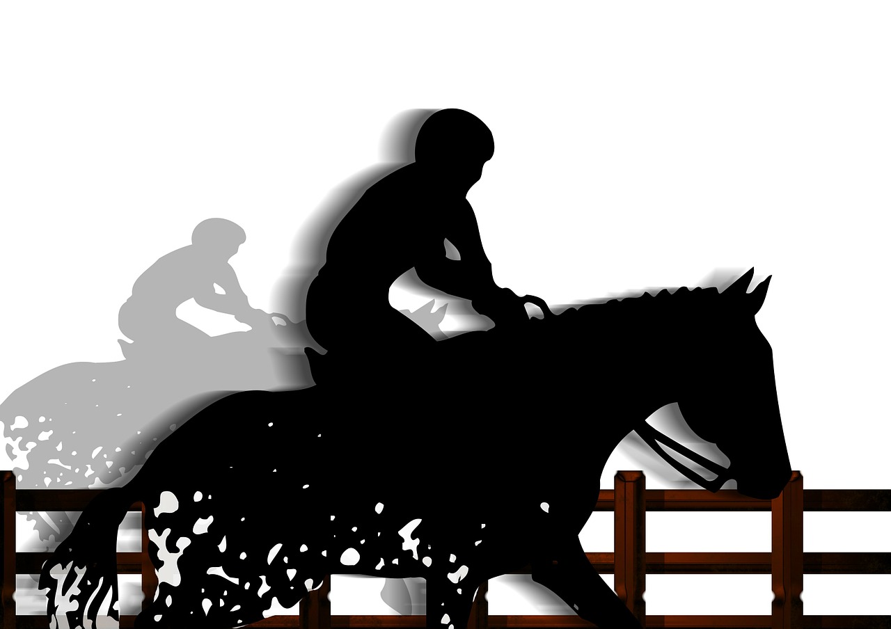 ride horse equestrian free photo