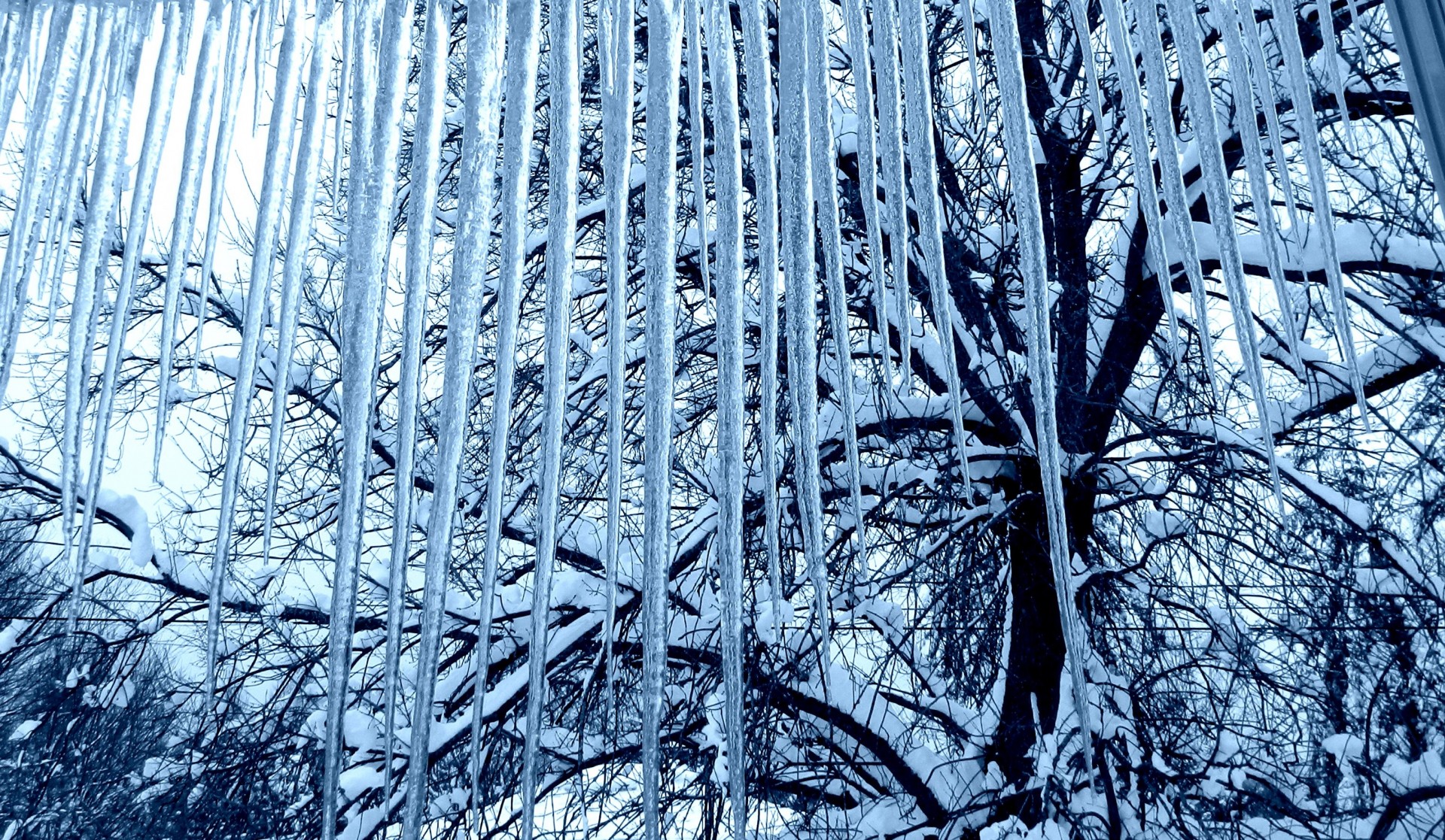 winter icicles background free photo
