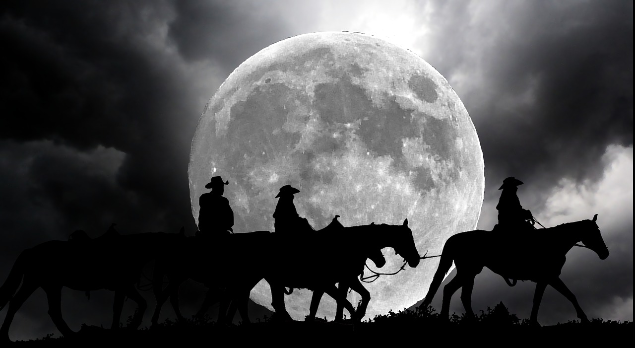 riders  horses  night free photo