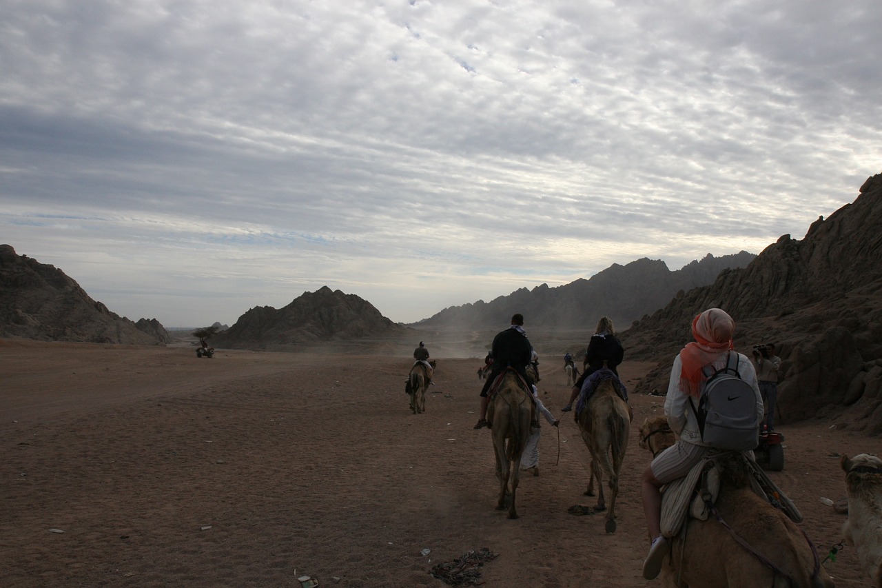 riding camel egypt free photo