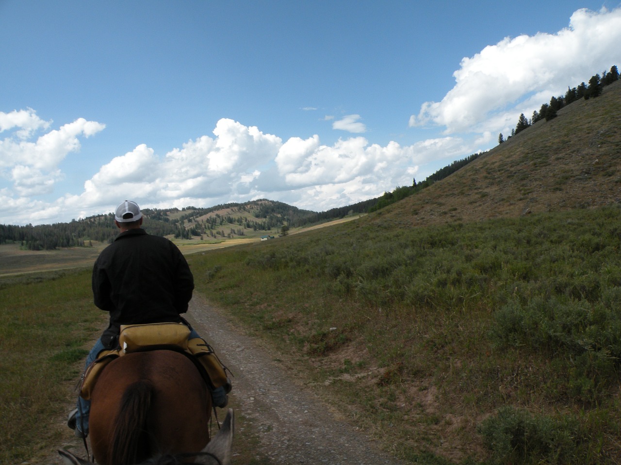 riding path nature free photo