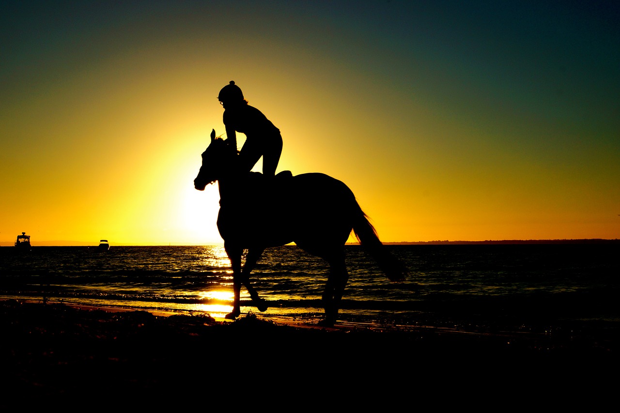 riding horse beach free photo