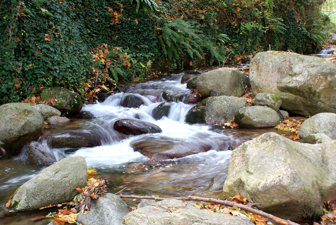 river water river arbucias free photo