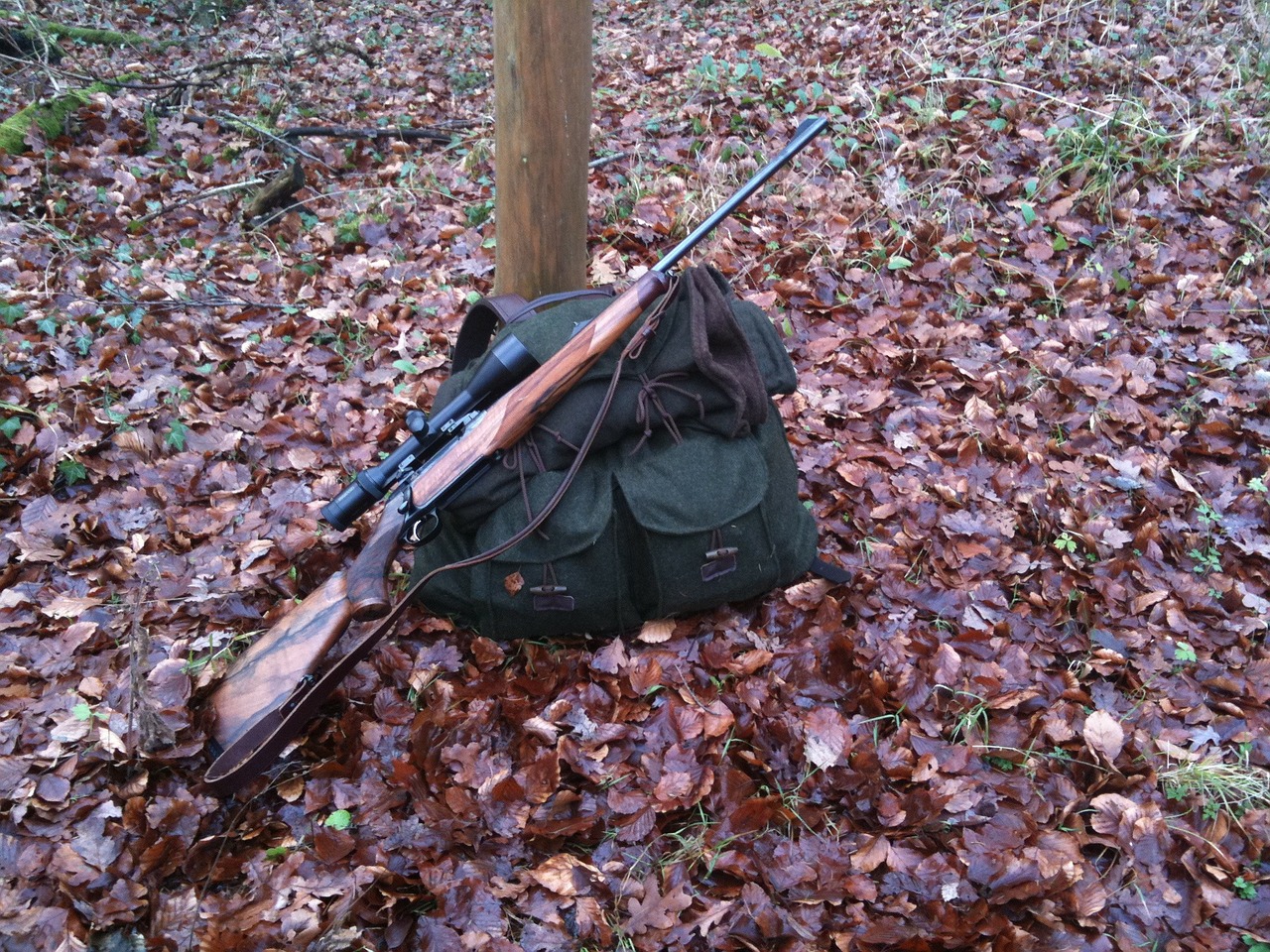 rifle hunting hunter backpack free photo