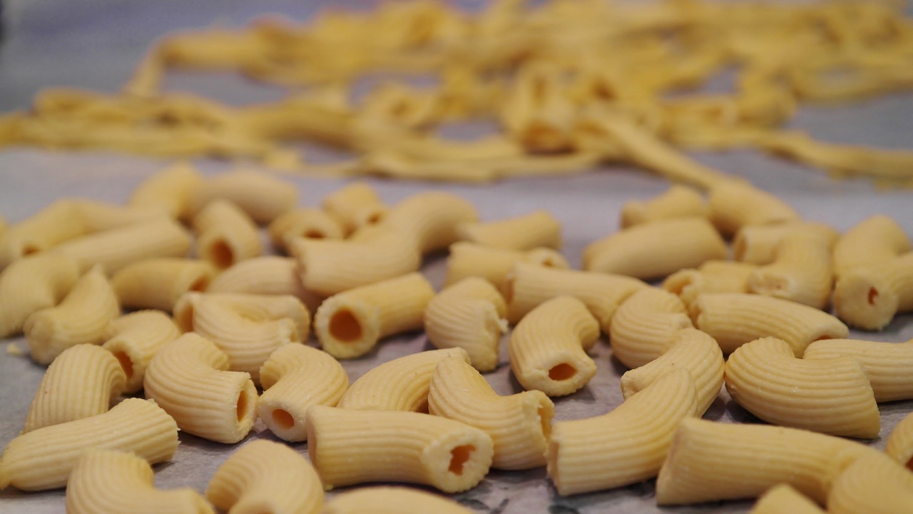 rigatoni pasta noodles free photo