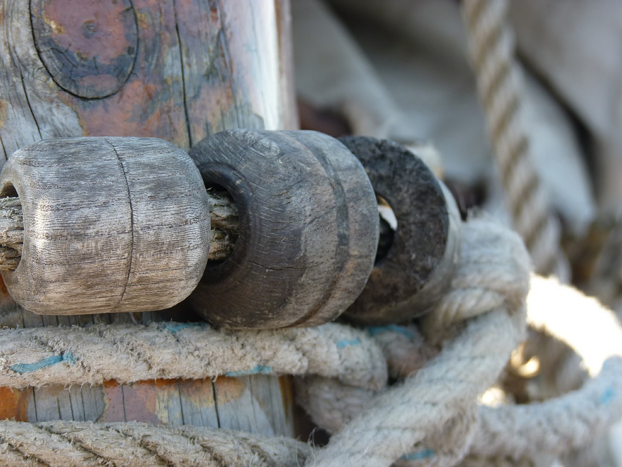 rigging sailing vessel sail free photo
