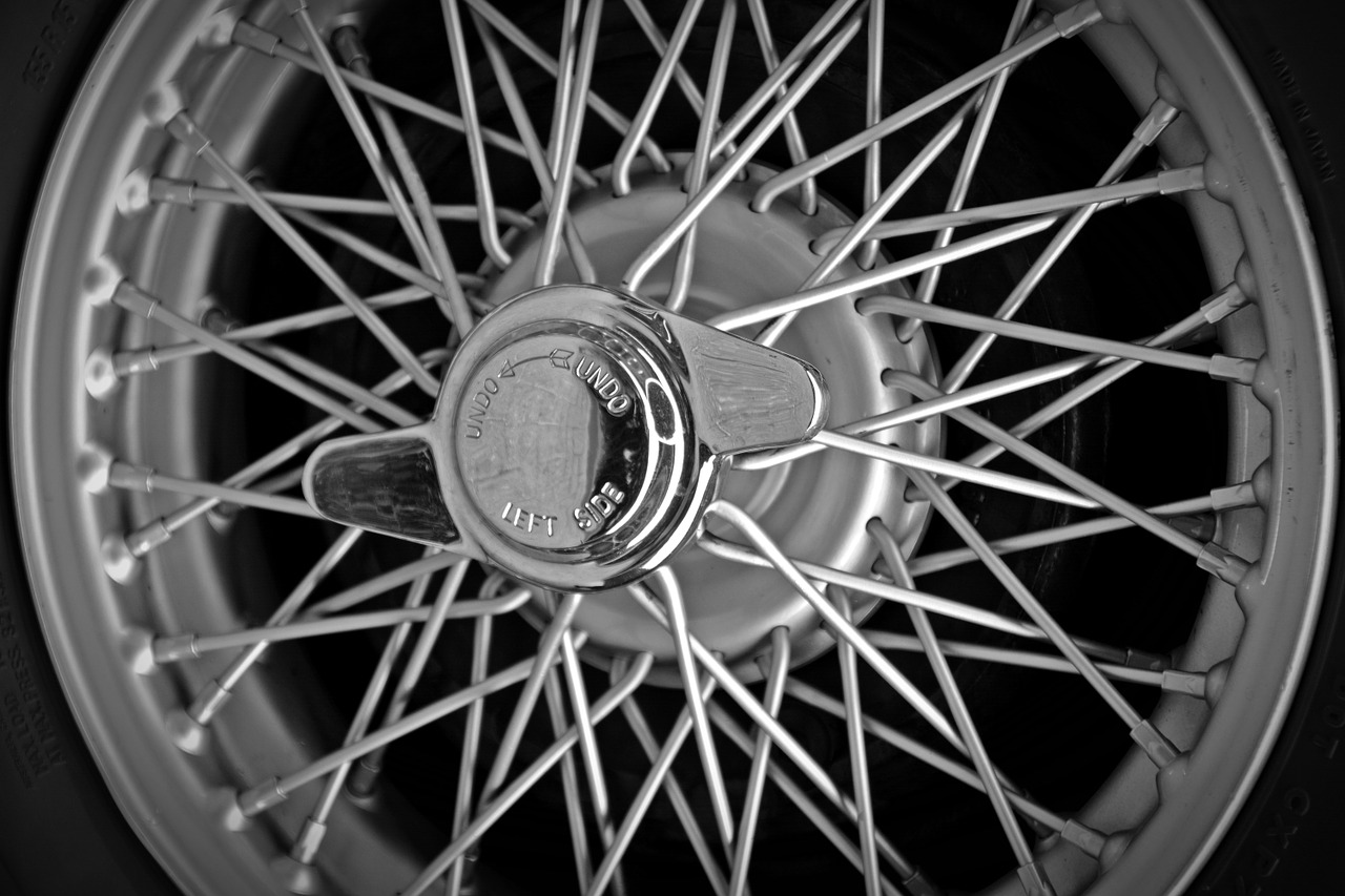 rim spoke wheels wing nut free photo