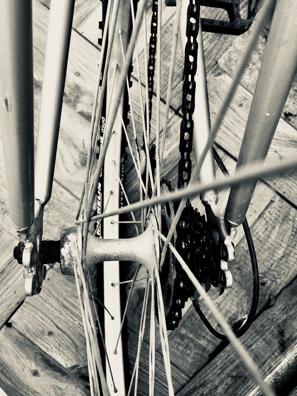 rim  chain  bike free photo