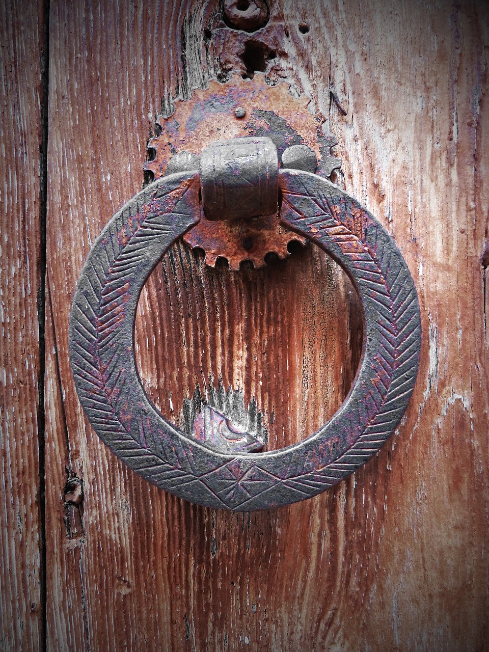 ring door old free photo