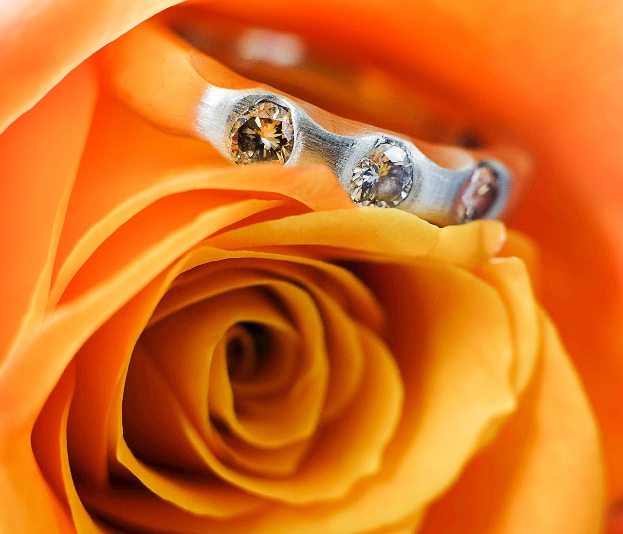 ring gold diamonds free photo